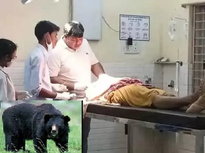 CG Bear Attack